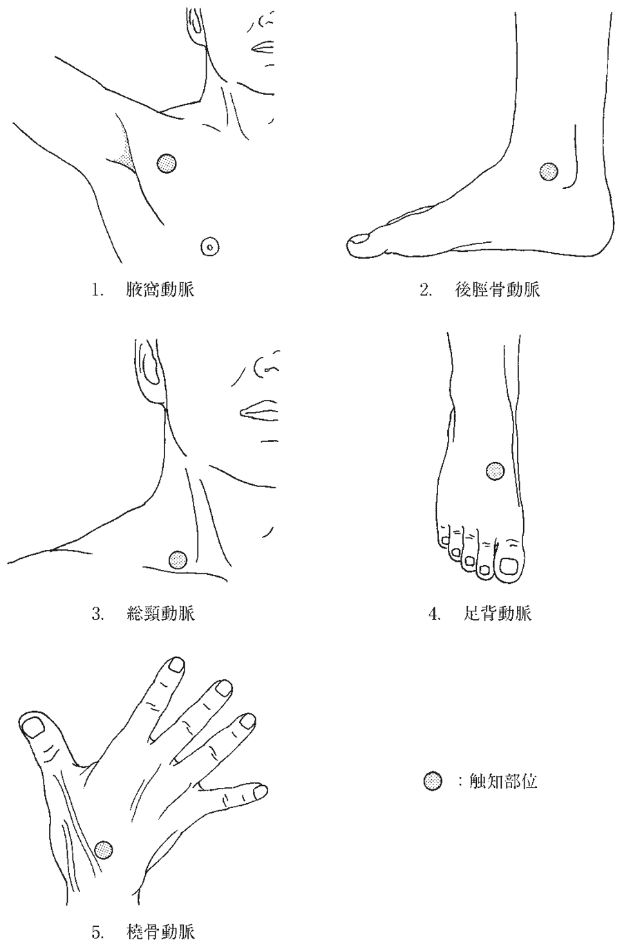 第58回午後 OT 問59 図(出典:厚生労働省)