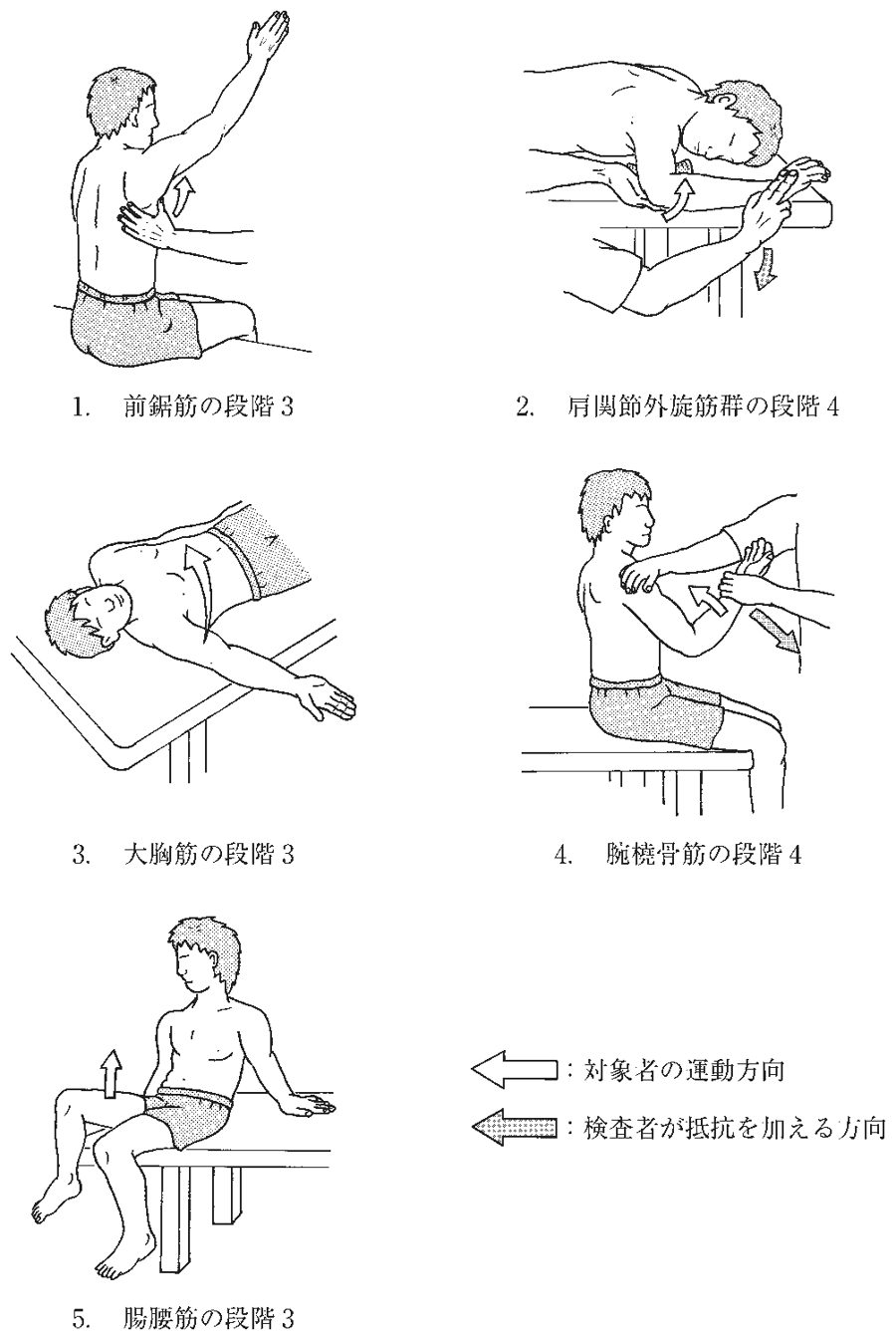 第55回午前 PT 問4 図(出典:厚生労働省)