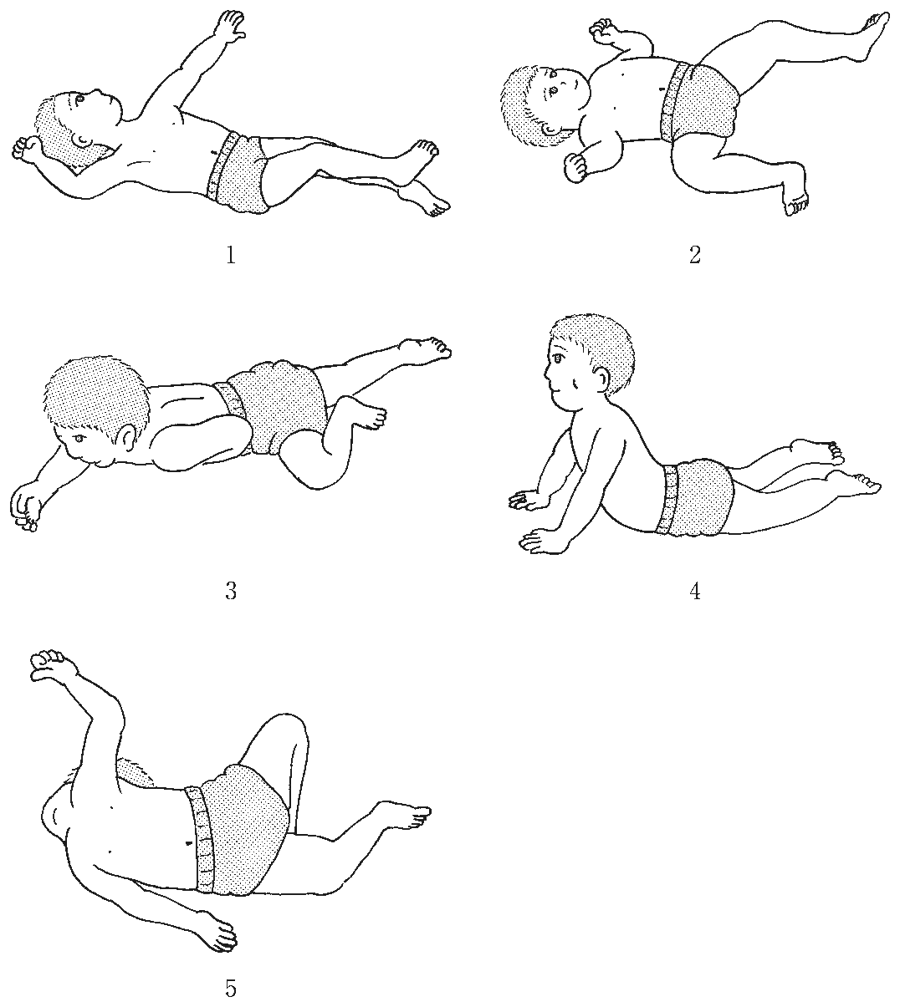 第58回午後 PT 問4 図(出典:厚生労働省)